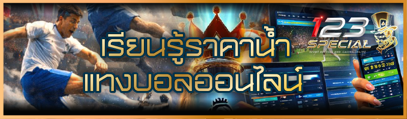 เรียนรู้ ราคาน้ำแทงบอลออนไลน์