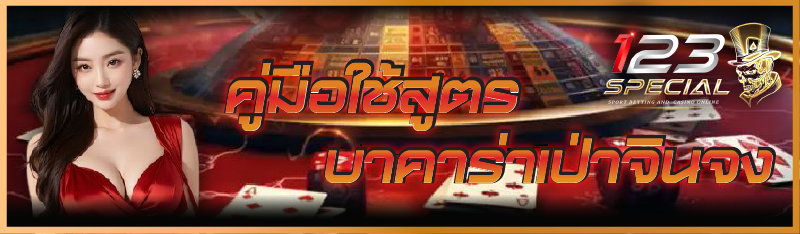 คู่มือใช้ สูตรบาคาร่าเป่าจินจง