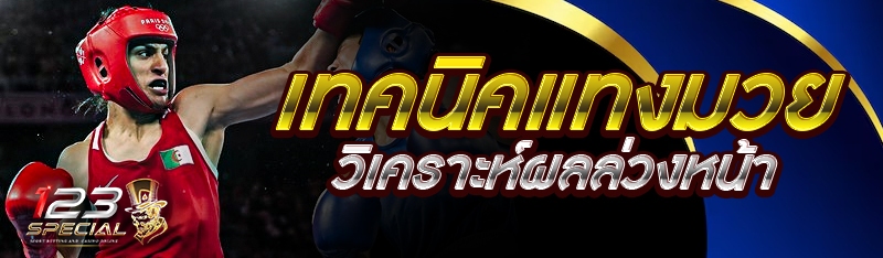 เทคนิคแทงมวยวิเคราะห์ผลล่วงหน้า