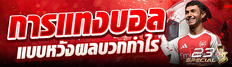 การแทงบอลแบบหวังผลบวกกำไร