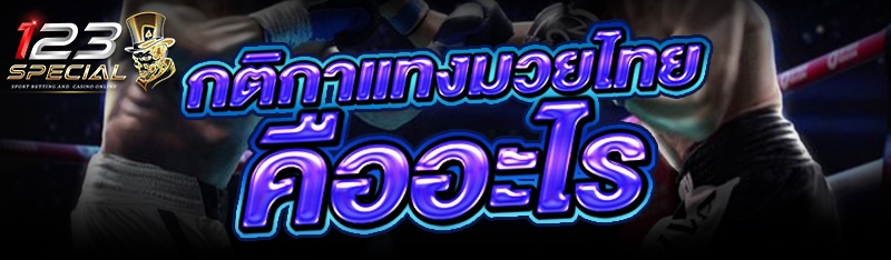 กติกาแทงมวยไทย คืออะไร?